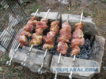 Шашлык, рецепты маринада, все про шашлык!