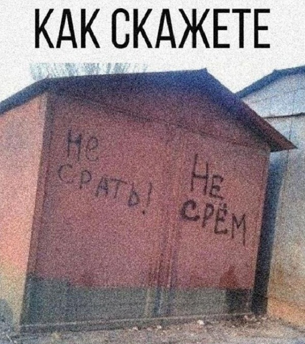 Всяческие картинки 29.06.2021