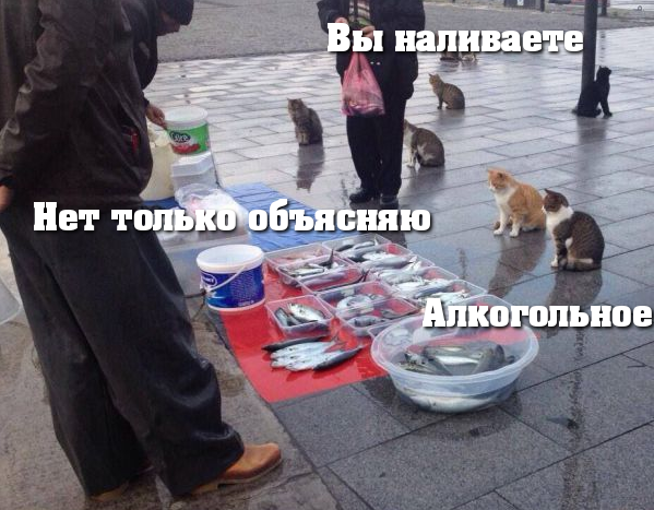 Алкопост 21.08.21