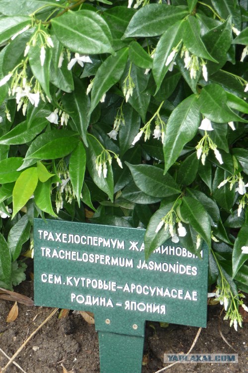 Крым, Партенит и его окрестности