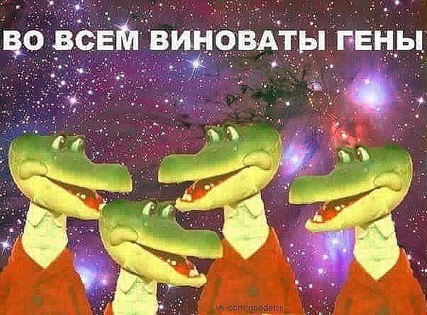 На мемы надейся, а сам не плошай! 12.02.22
