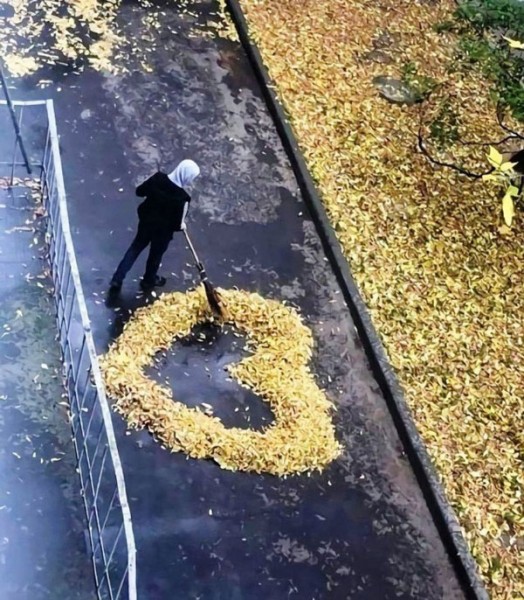 Пятница. Вечер. Картинки всякие...