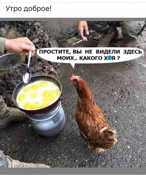 Так себе картинки 15.05.22