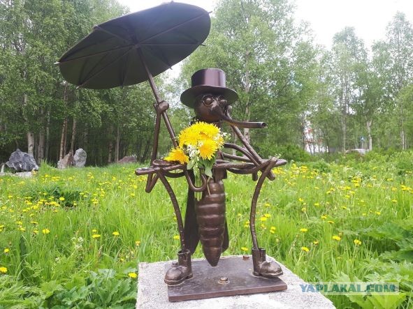 Доброе утро ЯП