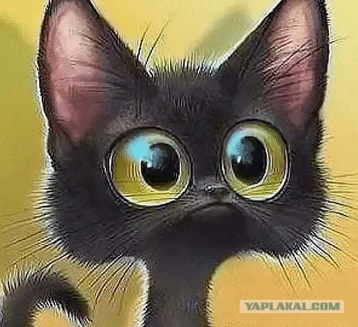 Котю дразнят