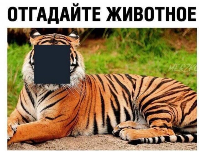 Прикольные и просто красивые картинки 26.09.2022