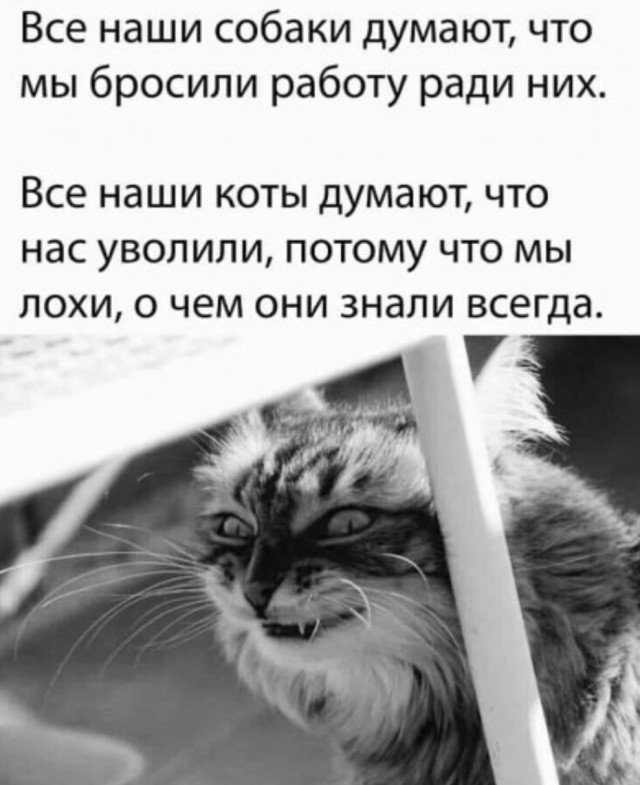 Народная меДИЧина 8.08