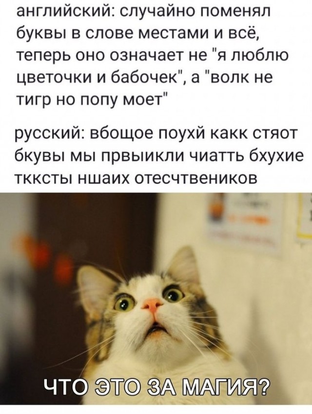 Немного картинок для настроения - 137