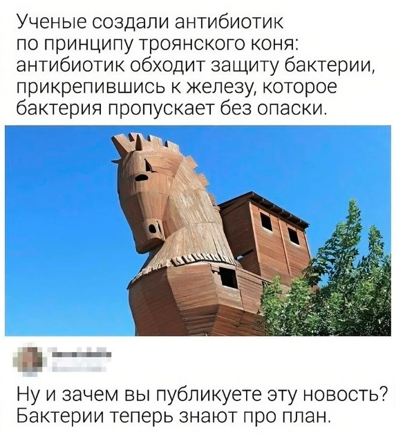 Так себе картинки 26.09.23