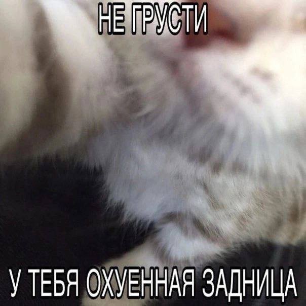 Всего понемногу. От 08.12.23