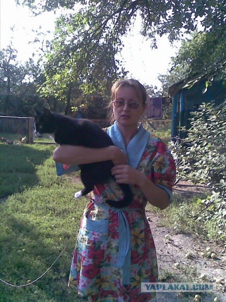 Как мы выкармливали котят.