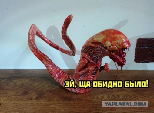 Про гастроскопию