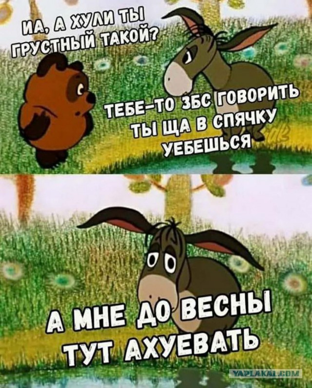 Винни-Пух: как мультфильм книгу заборол