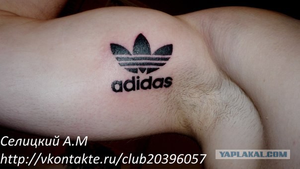Нет предела человеческой тупости