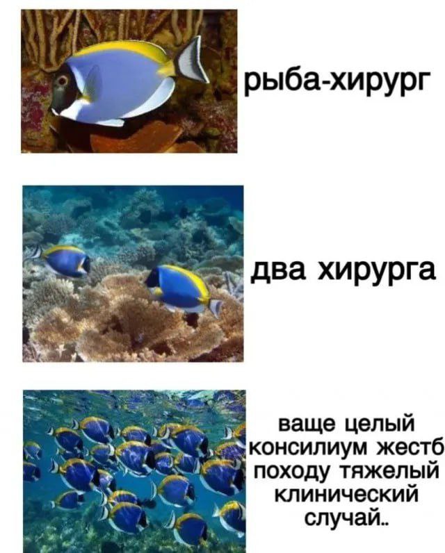 Сборник бабаянов и т.д. и т.п.