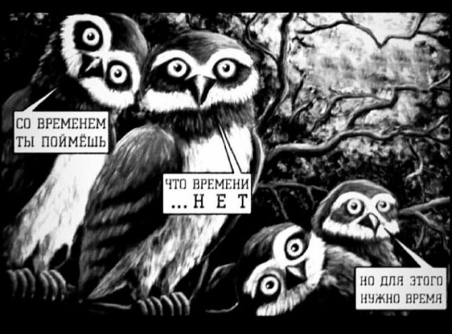 Прикольные и просто красивые картинки 01.11.2024