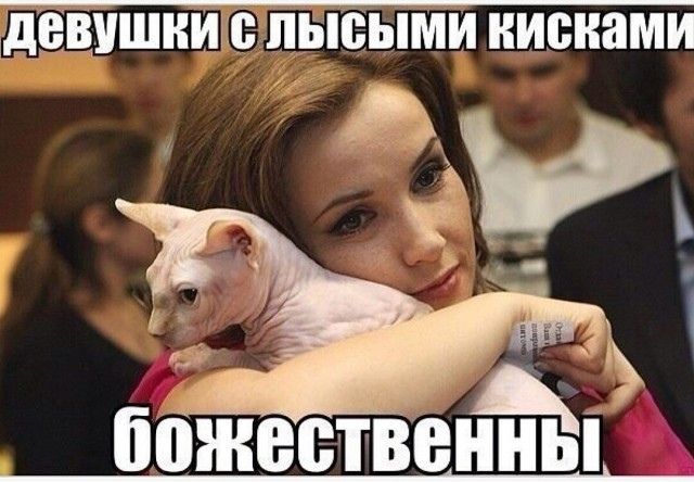 Всего понемногу. От 08.01.2025
