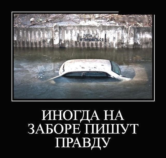 Так себе картинки 16.02.25