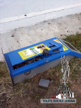 Вышел с утра погулять с собакой, а там...