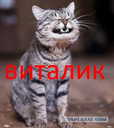 О том, как я семью разрушил⁠⁠
