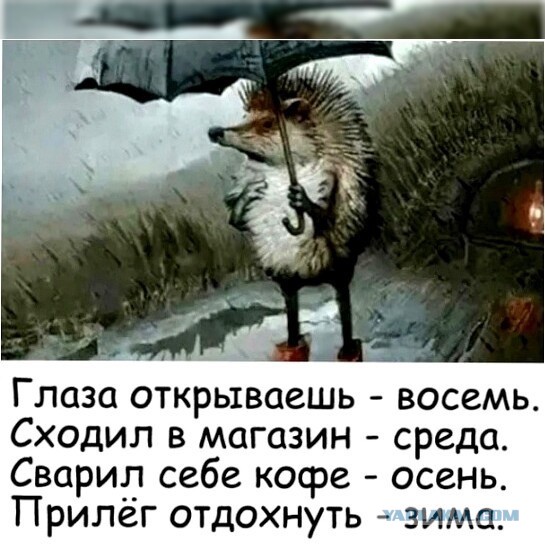 Картинки для деградации 110 (разной степени свежести)