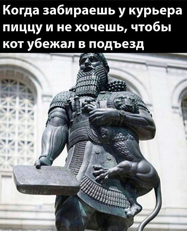 К котовторнику: подборка картинок-баянов с котиками и про котиков. Выпуск 28.