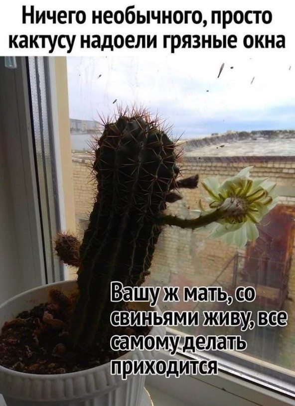 Не больной ублюдок, а хорошая фантазия