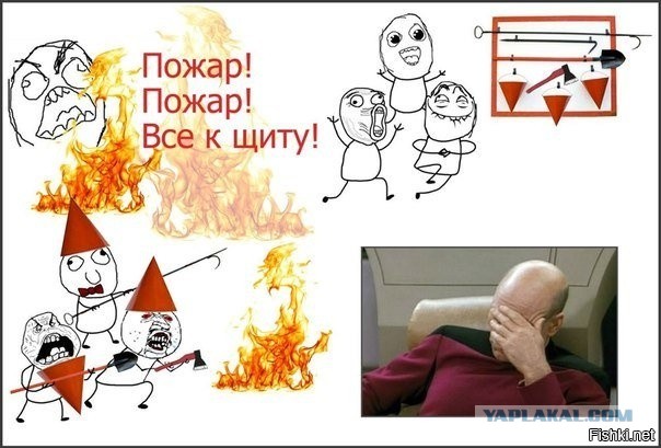 Аккордеоны