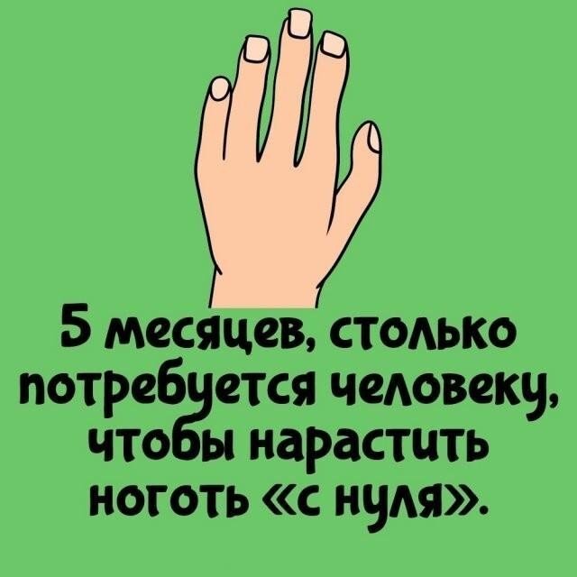 Интересные и короткие факты,на все случаи жизни 23.10.26
