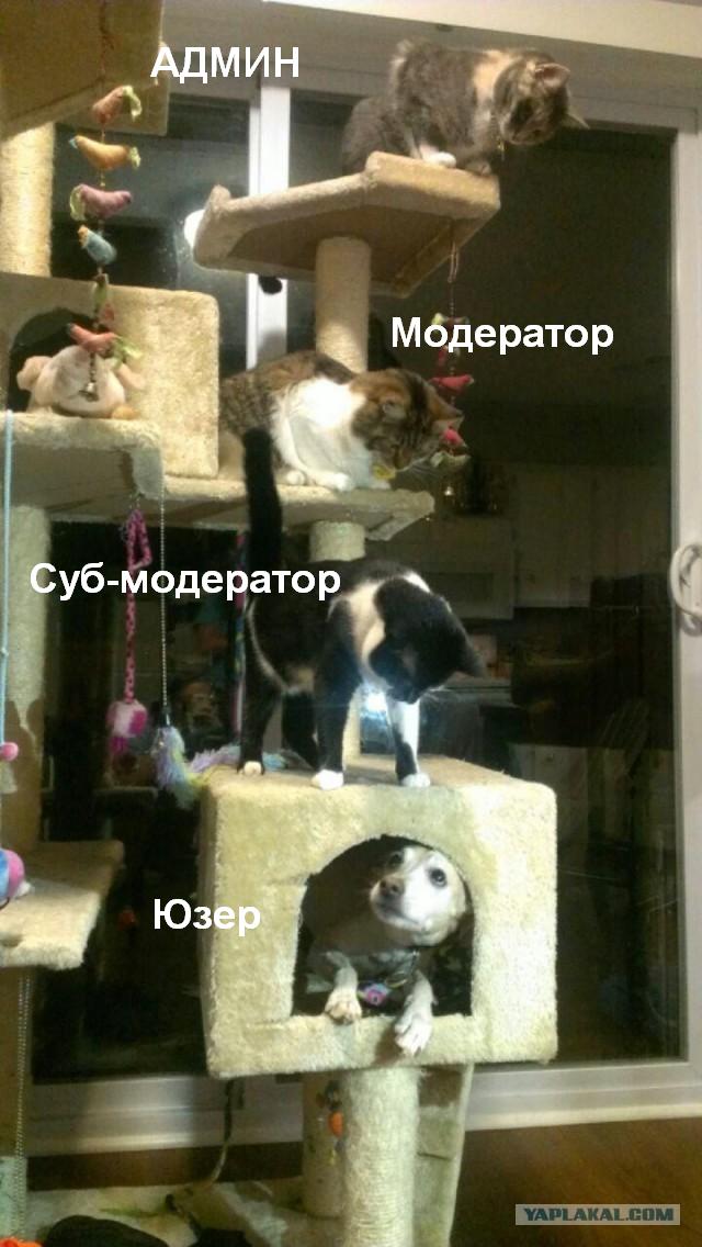 Вот мы тебя и вычислили