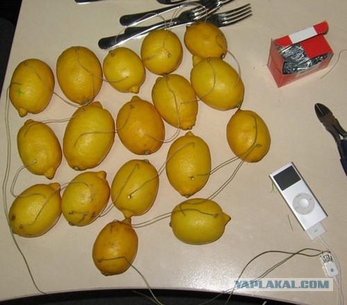 Интересный факт