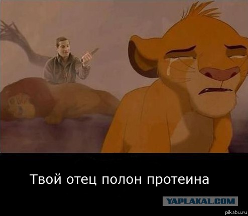 Смешные картинки и комментарии