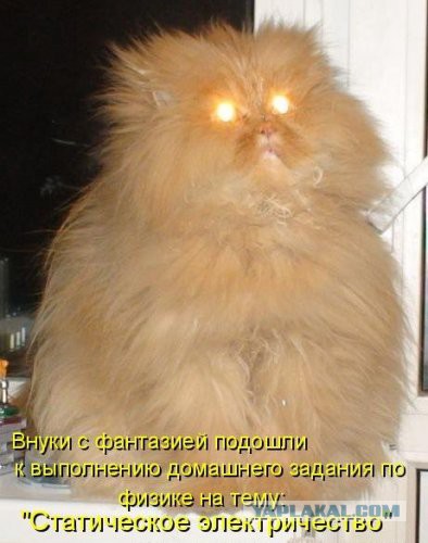 Добряки, плюсующие всех подряд