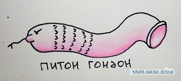 Воскресный тупнячок
