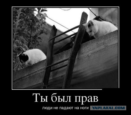Демотиваторов пост, добавляйте свои