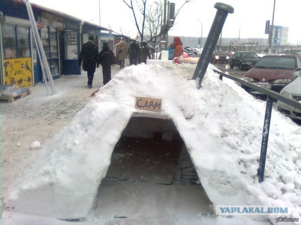 Веселые картинки