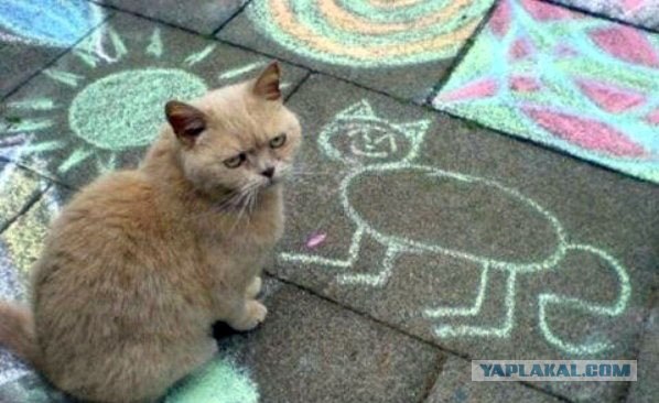 Рисунок мелом на асфальте