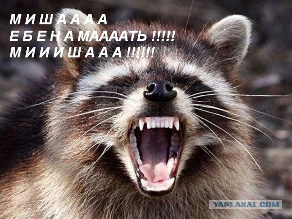 Как я машину без подголовников купил)
