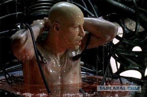 Как узнать русскую девушку на пляже?