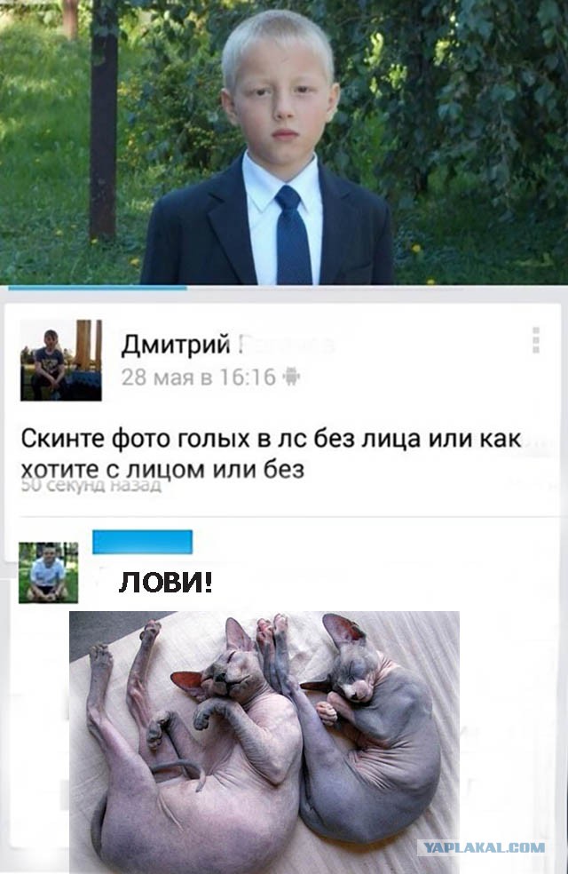 Ужасы и приколы из соцсетей 18+