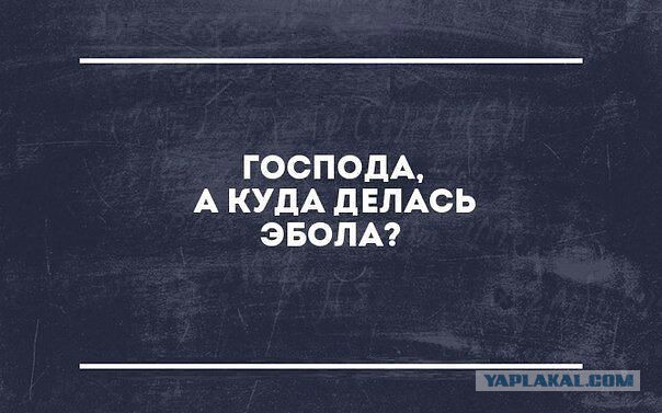 О вреде пальмового масла