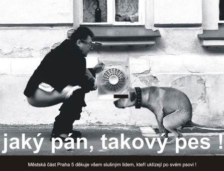 Хозяева приколисты с СОБАКАМИ и ЩЕНКАМИ