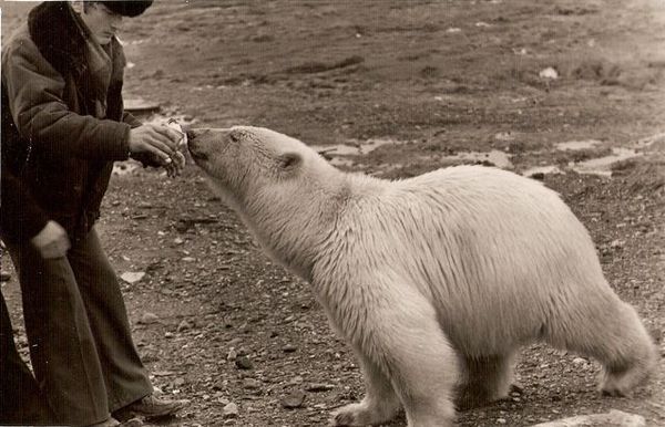 Исторические фотографии