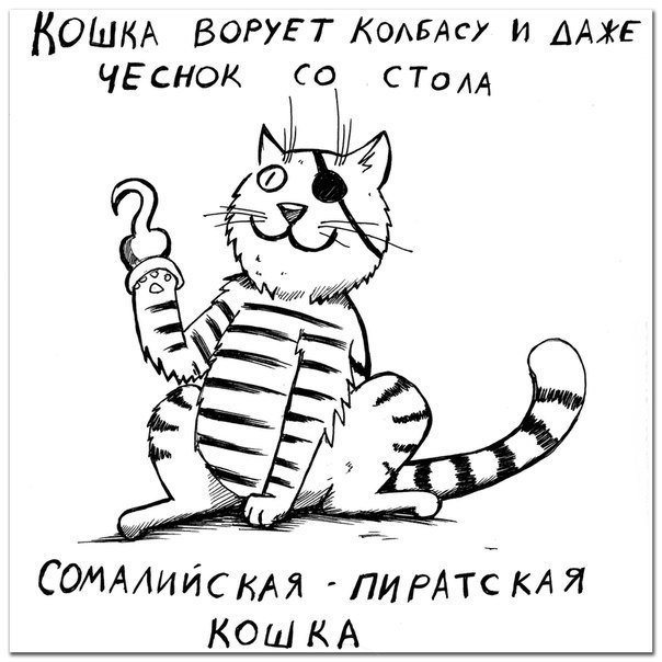 Породы котяр