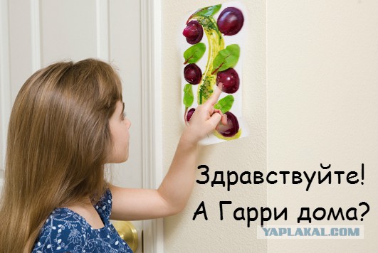 Первый этап конкурса "Кулинар-2015" (Новички)