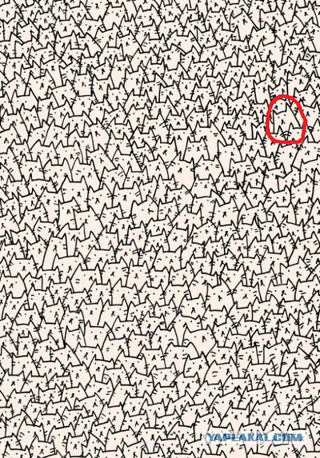 Найдите  собаку