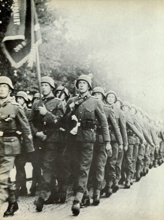 Европейские крестоносцы Гитлера под Ленинградом