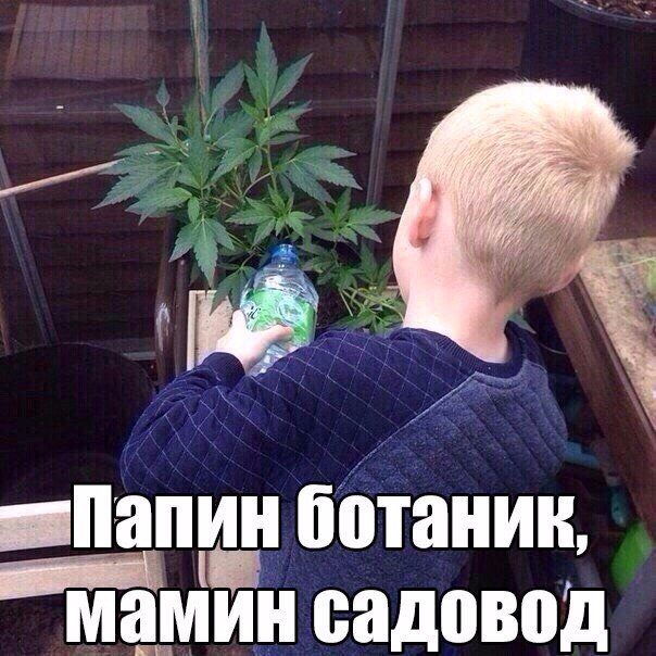 Злые шутки или минутка сарказма на ЯП-е, 16+