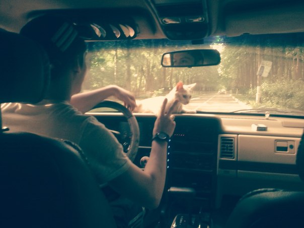 Подборка картинок на среду