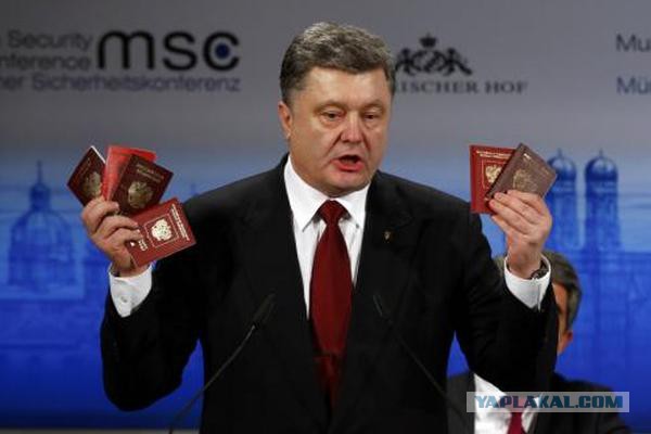 Донецка Народная Республика это: